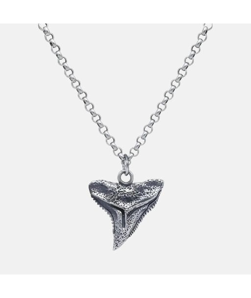 Collier dent de requin en argent véritable offre 