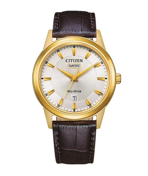 Citizen AW0102-13AE Economisez 