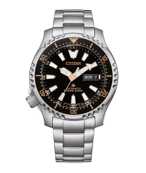 Citizen Promaster NY0160-66E suggérées chez