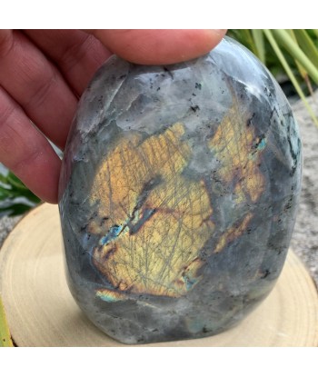 Labradorite multicolor polie claire dorée 727g ou a consommer sur place