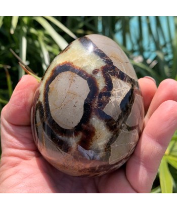 Septarian egg, œuf de septaria et de calcite jaune de 534g Véritable concentré