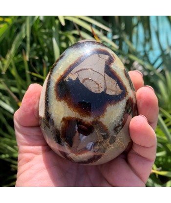 Septarian egg, œuf de septaria et de calcite jaune de 534g Véritable concentré