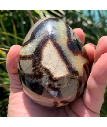 Septarian egg, œuf de septaria et de calcite jaune de 534g Véritable concentré