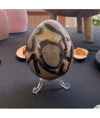 Septarian egg, œuf de septaria et de calcite jaune de 534g Véritable concentré