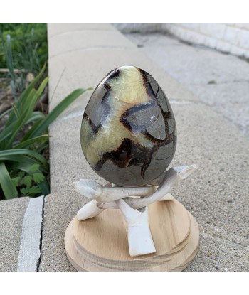 Septarian egg, œuf de septaria et de calcite jaune de 534g Véritable concentré