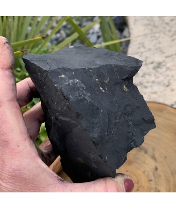 Grande shungite naturelle authentique, un magnifique bloc de shungite brute Venez acheter