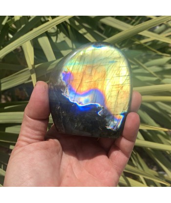 Magnifique Labradorite de forme libre polie, 427g Feldspath, multi couleur l'évolution des habitudes 