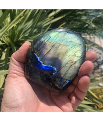 Magnifique Labradorite de forme libre polie, 427g Feldspath, multi couleur l'évolution des habitudes 