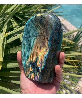 Belle Labradorite véritable polie de forme libre de 1kg317g offre 