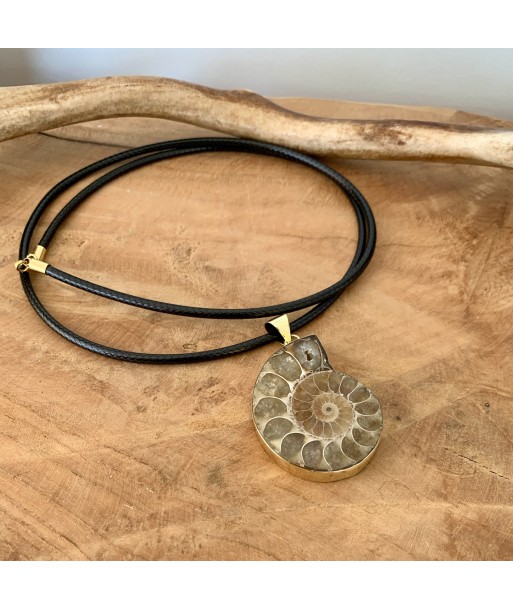 Pendentif d'ammonite naturelle, bijoux en fossile le des métaux précieux