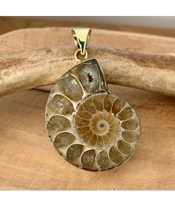 Pendentif d'ammonite naturelle, bijoux en fossile le des métaux précieux