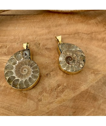 Pendentif d'ammonite naturelle, bijoux en fossile le des métaux précieux