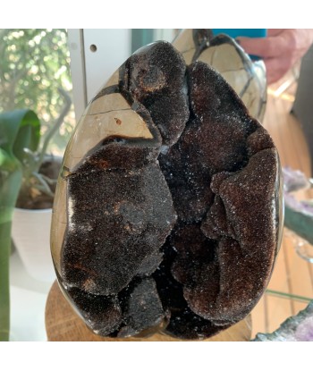 Septarian, septaria sauvage de 2kg183g de France