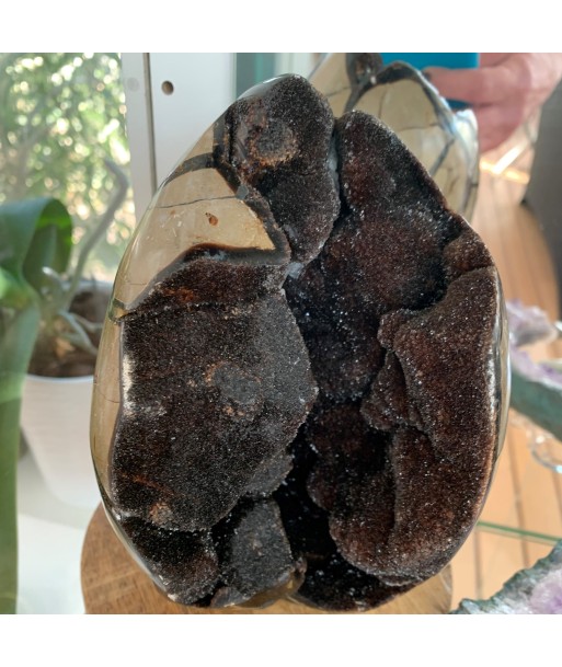 Septarian, septaria sauvage de 2kg183g de France