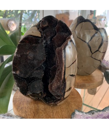 Septarian, septaria sauvage de 2kg183g de France