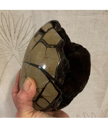 Septarian, septaria sauvage de 2kg183g de France