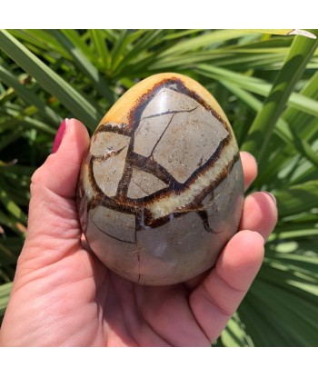 Œuf septaria et calcite jaune de 530g À commander