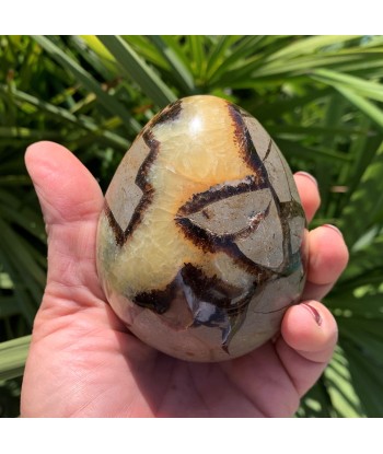 Œuf septaria et calcite jaune de 530g basket pas cher