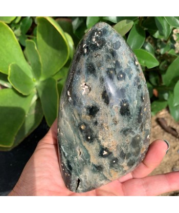 734g Ocean Green Orbicular Jasper Fin de série