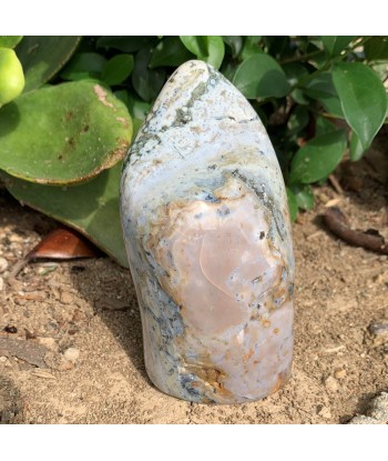 749g Blue Orbicular Ocean Jasper de pas cher