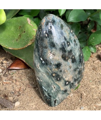 734g Ocean Green Orbicular Jasper Fin de série