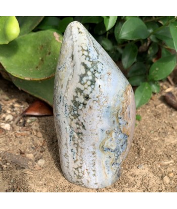 749g Blue Orbicular Ocean Jasper de pas cher