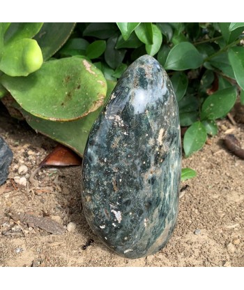 734g Ocean Green Orbicular Jasper Fin de série