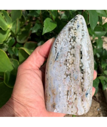 749g Blue Orbicular Ocean Jasper de pas cher