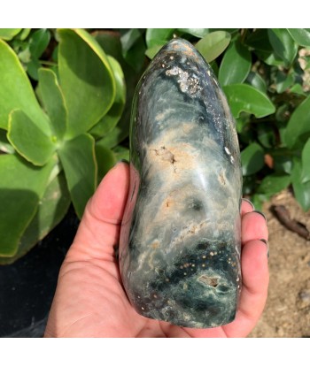 734g Ocean Green Orbicular Jasper Fin de série