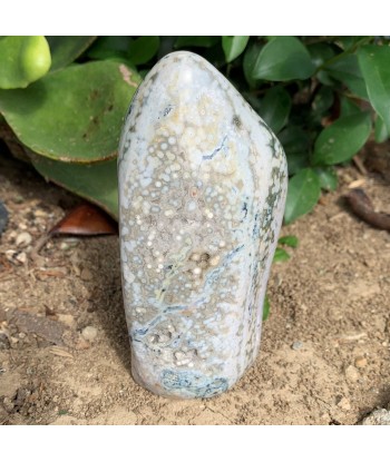 749g Blue Orbicular Ocean Jasper de pas cher