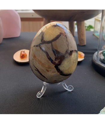 Septaria egg and yellow calcite of 530g JUSQU'A -70%! 