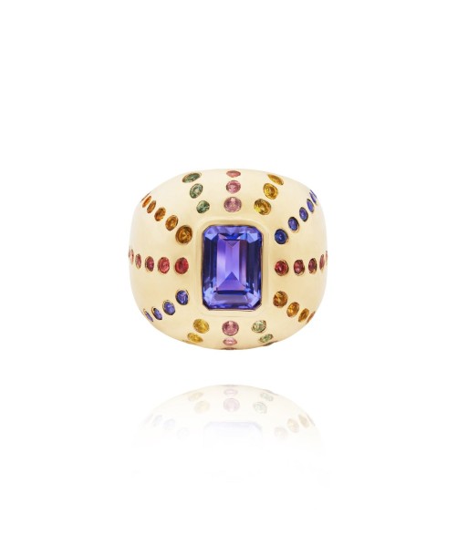 Marteen Gold Ring - rainbow de technologie