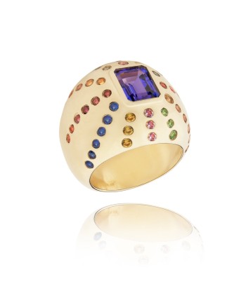 Marteen Gold Ring - rainbow de technologie